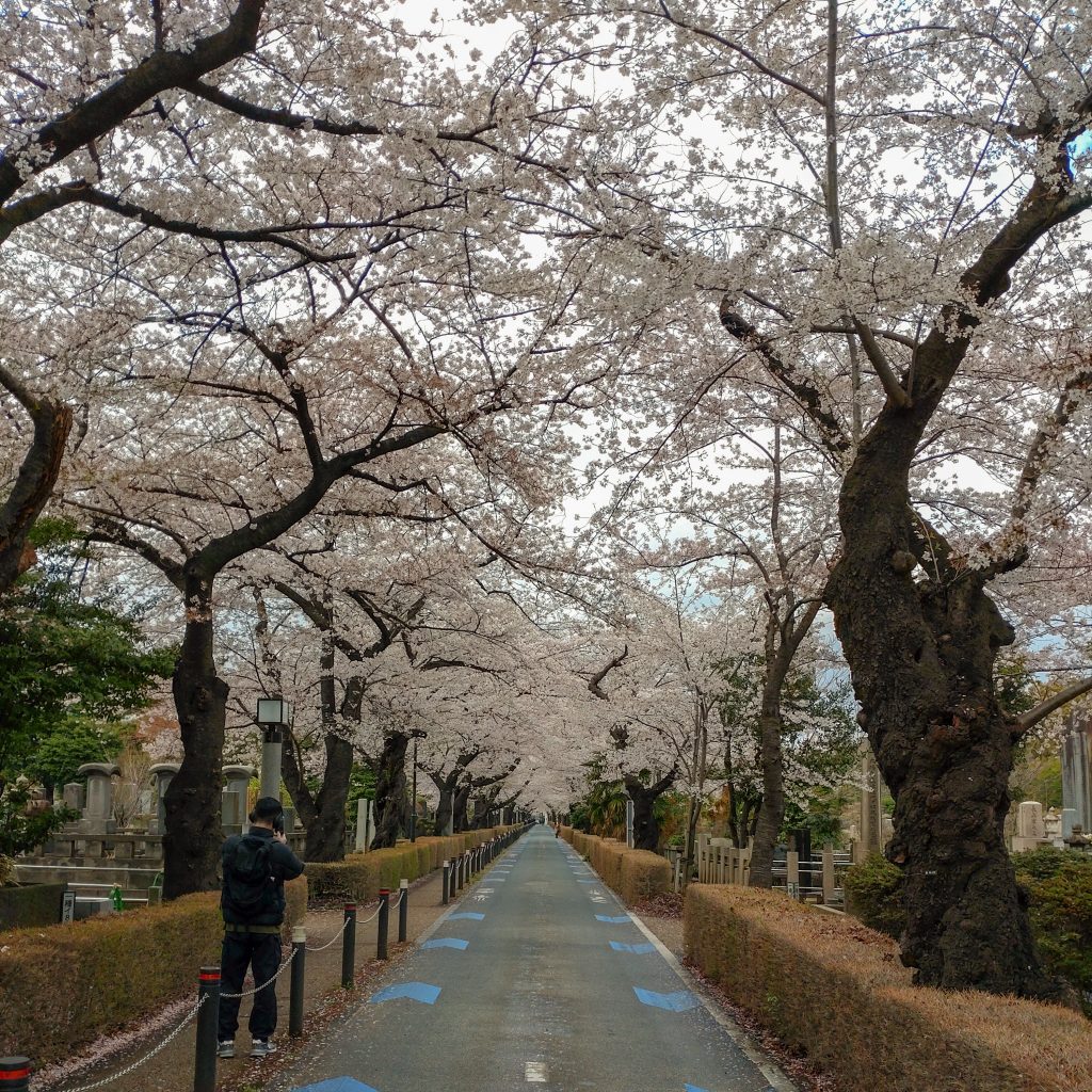 Japan Tokyo Aoyama Friedhof